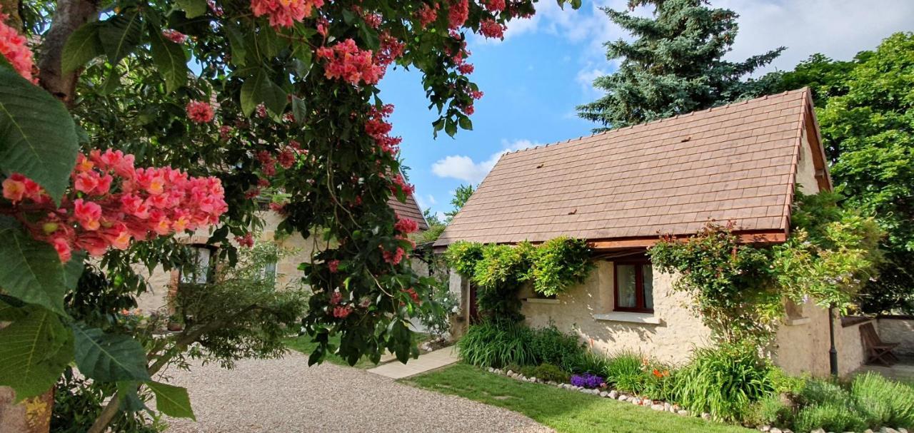 Apartmán Domaine Des Medards Beaulieu-sur-Loire Exteriér fotografie